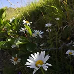 Σπίτι διακοπών In Montagna