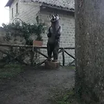 In Montagna
