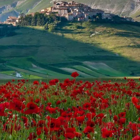 Σπίτι διακοπών In Montagna Montemonaco