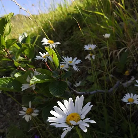 Vakantiehuis In Montagna